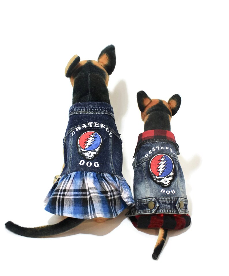 grateful dead dog clothes