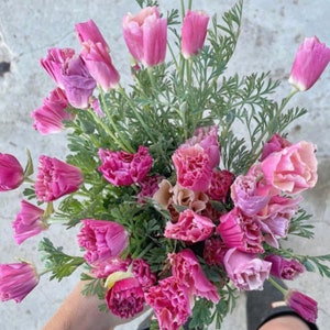 May include: A bouquet of pink flowers with green foliage. The flowers are a mix of single and double blooms.