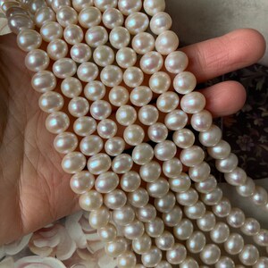 May include: A strand of white freshwater pearls, with a slight iridescent sheen. The pearls are round and smooth, and they are strung on a clear thread. The pearls are approximately 8mm in diameter.