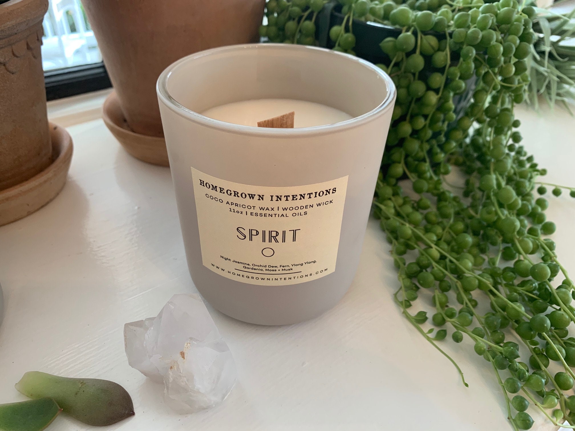 Candles Nontoxic Coconut Apricot Creme Wax Wooden Wick Etsy