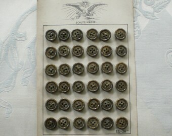 36 Steinnussknöpfe auf Originalkarton Steinnuss 15 mm
