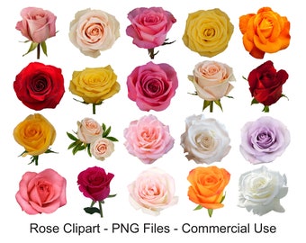 Rose Clipart, Rose Clip Art, Rose Illustration, Roses Png, Instant Download, Commercial Use