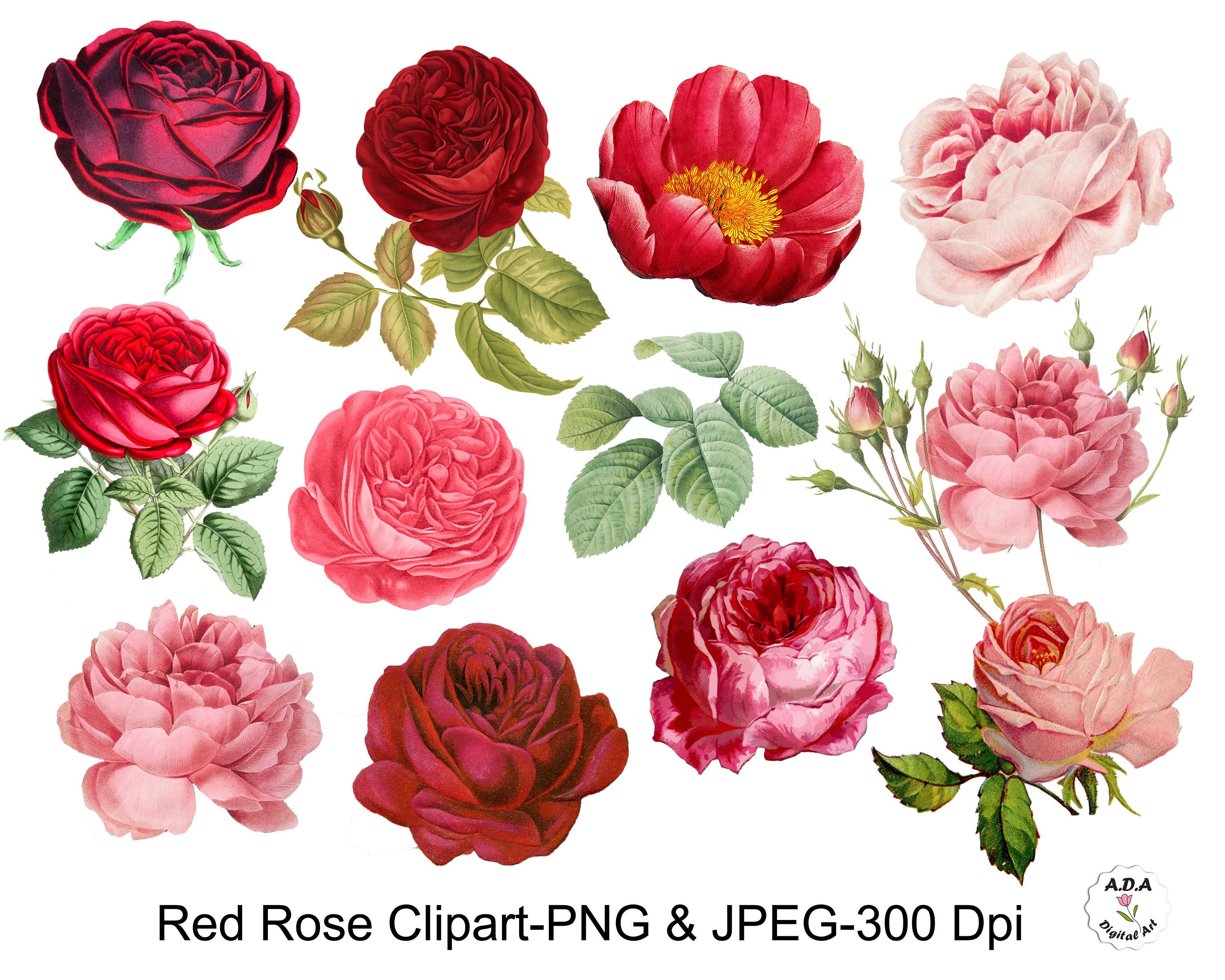 Vintage Red Rose Clip Art