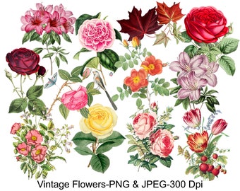 Clipart de flores vintage, clipart de flores, folha de colagem digital, colagem floral imprimível para álbum de recortes, download instantâneo, uso comercial
