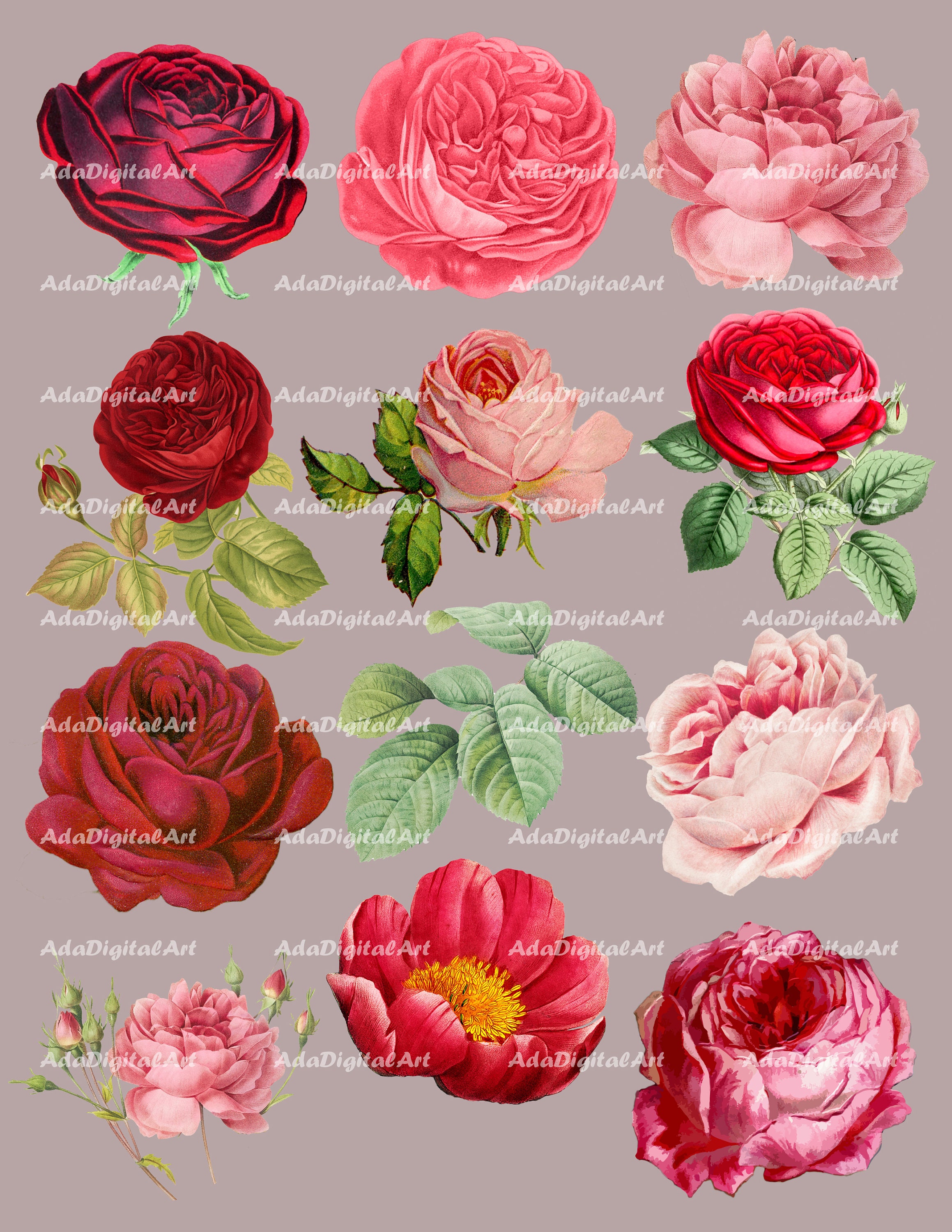 Red Rose Clipart, Roses Clip Art, Vintage Flowers, Digital Collage