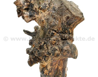 Baumwurzel als Deko aus Apfelbaumholz (41 x 32 cm)