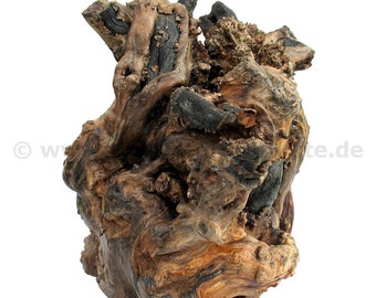 Baumwurzel als Deko aus Apfelbaumholz (35 x 38 cm)