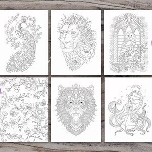 K&ouml;nnte beinhalten: Sechs Schwarzwei&szlig;-Malvorlagen mit filigranen Designs eines Pfaus, eines L&ouml;wen, einer Eule, eines Wolfes, eines Kraken und eines Blumenmusters.