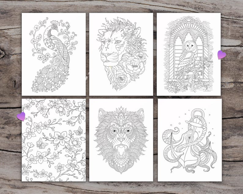 K&ouml;nnte beinhalten: Sechs Schwarzwei&szlig;-Malvorlagen mit filigranen Designs eines Pfaus, eines L&ouml;wen, einer Eule, eines Wolfes, eines Kraken und eines Blumenmusters.