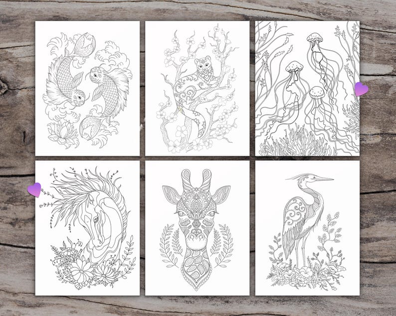 K&ouml;nnte beinhalten: Sechs Schwarzwei&szlig;-Malvorlagen mit filigranen Designs von Tieren und Natur. Die Designs beinhalten ein Fischpaar, eine Katze in einem Baum, Quallen, ein Pferd, eine Giraffe und einen Reiher.