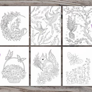 K&ouml;nnte beinhalten: Sechs Schwarzwei&szlig;-Malvorlagen mit filigranen Designs von Tieren und Blumen. Die Designs beinhalten ein Eichh&ouml;rnchen, eine Katze, einen Kolibri, einen Schmetterling, eine Biene und einen Vogel.