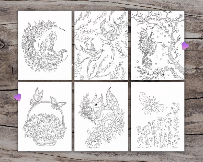 K&ouml;nnte beinhalten: Sechs Schwarzwei&szlig;-Malvorlagen mit filigranen Designs von Tieren und Blumen. Die Designs beinhalten ein Eichh&ouml;rnchen, eine Katze, einen Kolibri, einen Schmetterling, eine Biene und einen Vogel.