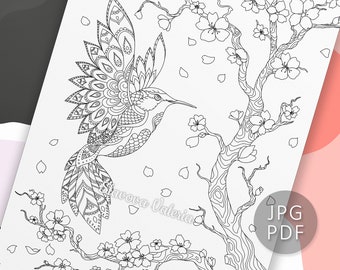 Coloriage Colibri et Sakura - Page de coloriage imprimable Colibri Fleurs Feuille de coloriage numérique