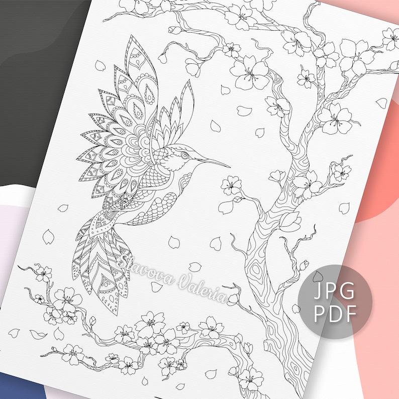 Hummingbird and Sakura Coloring Page, Printable Coloring Page Hummingbird Flowers, Сoloring page for adults, teens, and kids, Instant Download hummingbirds coloring page, the perfect gift for your friends, An instant PDF/JPG download