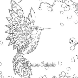Large coloring page example, Hummingbird and Sakura Coloring Page, Printable Coloring Page Hummingbird Flowers, Сoloring page for adults, teens, and kids, Instant Download hummingbirds coloring page, An instant PDF/JPG download