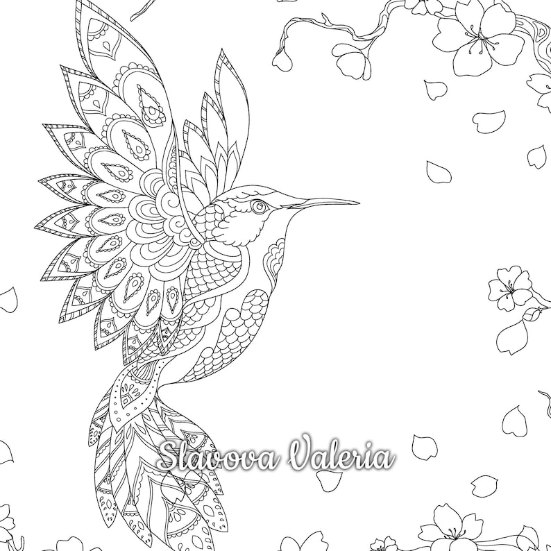 Large coloring page example, Hummingbird and Sakura Coloring Page, Printable Coloring Page Hummingbird Flowers, Сoloring page for adults, teens, and kids, Instant Download hummingbirds coloring page, An instant PDF/JPG download