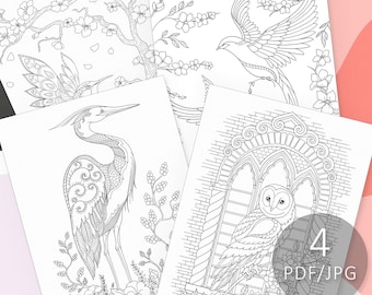 Set of 4 Birds Coloring Pages, Owl, Herron, Humminbird, Swallow Instant Download PDF JPG Files