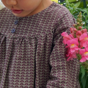 Dress Cotton, Olive/Wine Red