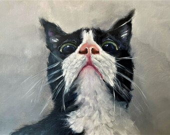 Quirky looking tuxedo cat with a wide eyed expression looking alertly upwards.  Giclee art print title "Tuxedo Cat."