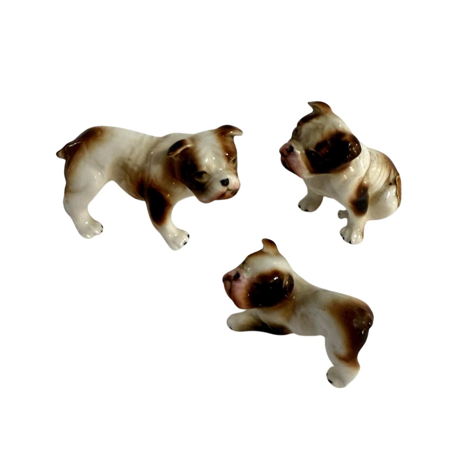 Bone china japan dog - Etsy 日本