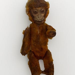 Vintage Schuco Yes No Trick Monkey Miniature Monkey Flocked 4 1/2&quot; Tall