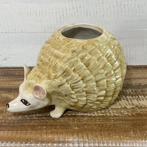 Könnte beinhalten: Ein Keramik-Igel-Pflanzgefäß mit hellbrauner Glasur. Der Igel hat einen detaillierten, strukturierten Körper, ein weißes Gesicht und kleine rosa Ohren. Der Pflanztopf hat eine runde Öffnung an der Oberseite für Pflanzen.