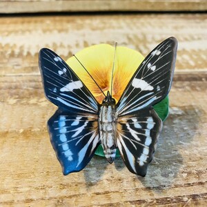 Franklin Mint Butterflies of the World - Etsy