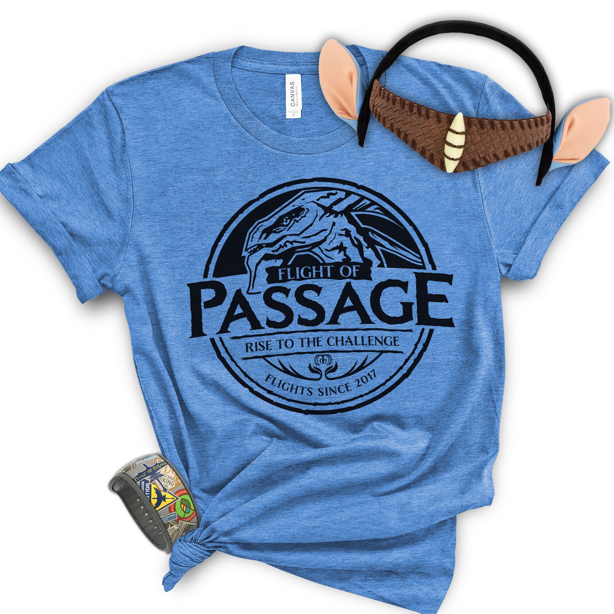 Discover Flight of Passage Animal Kingdom Shirt