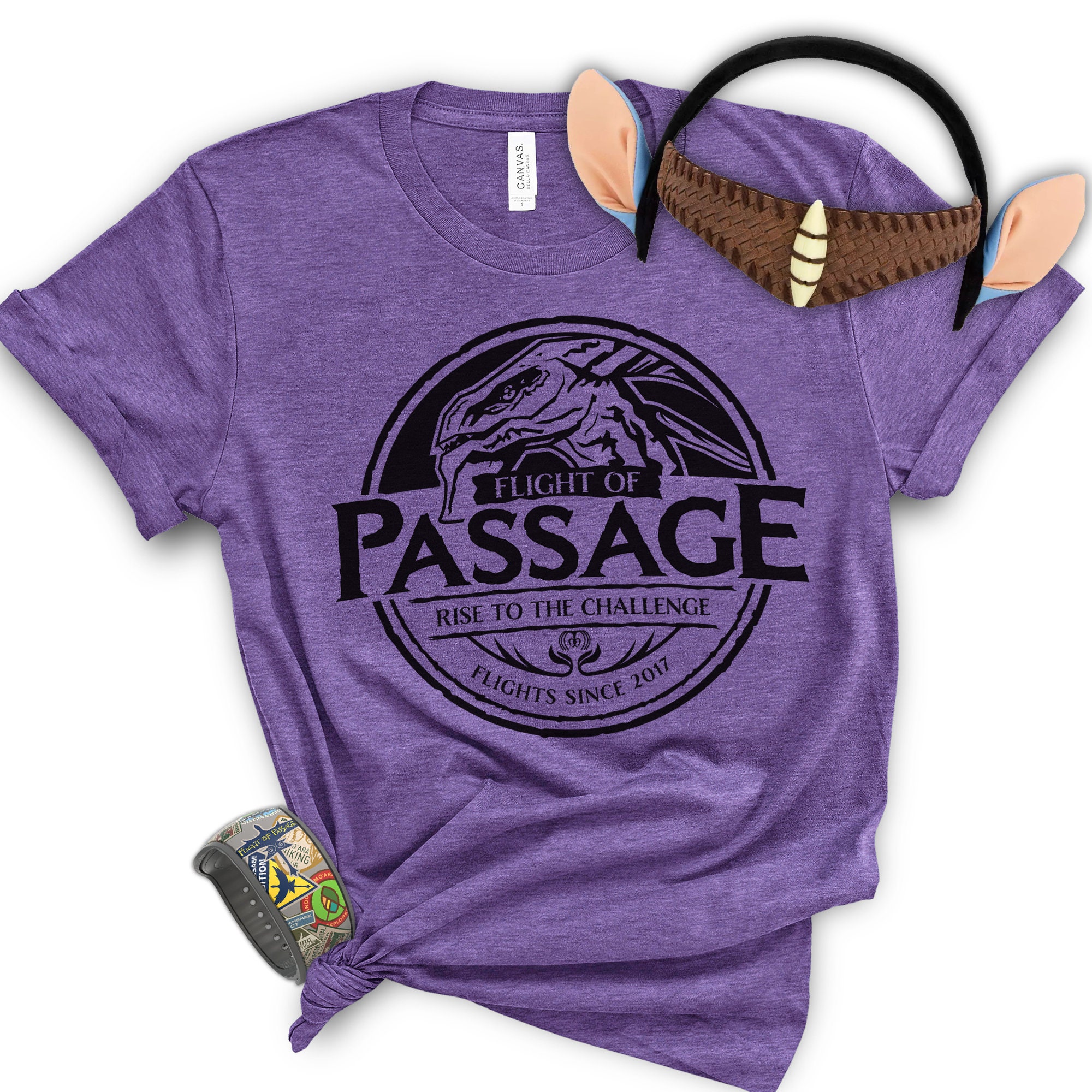 Discover Flight of Passage Animal Kingdom Shirt