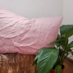 Puede incluir: Una almohada de lino rosa suave apoyada en un toc&oacute;n de madera desgastado. Una planta verde con hojas grandes est&aacute; en el fondo.