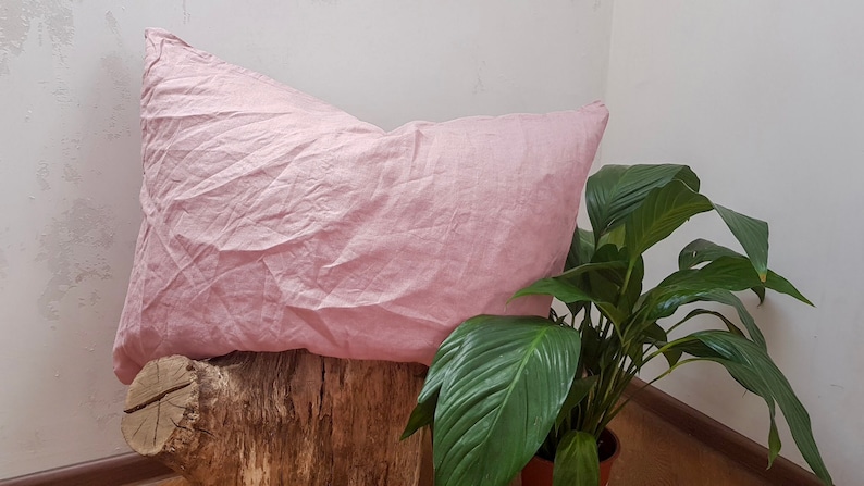 Puede incluir: Una almohada de lino rosa suave apoyada en un toc&oacute;n de madera desgastado. Una planta verde con hojas grandes est&aacute; en el fondo.