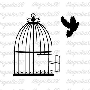Bird out of cage on sale