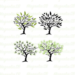 Olive Tree Clip Art Bundle: Vector EPS, PNG, JPG (Digital Download)