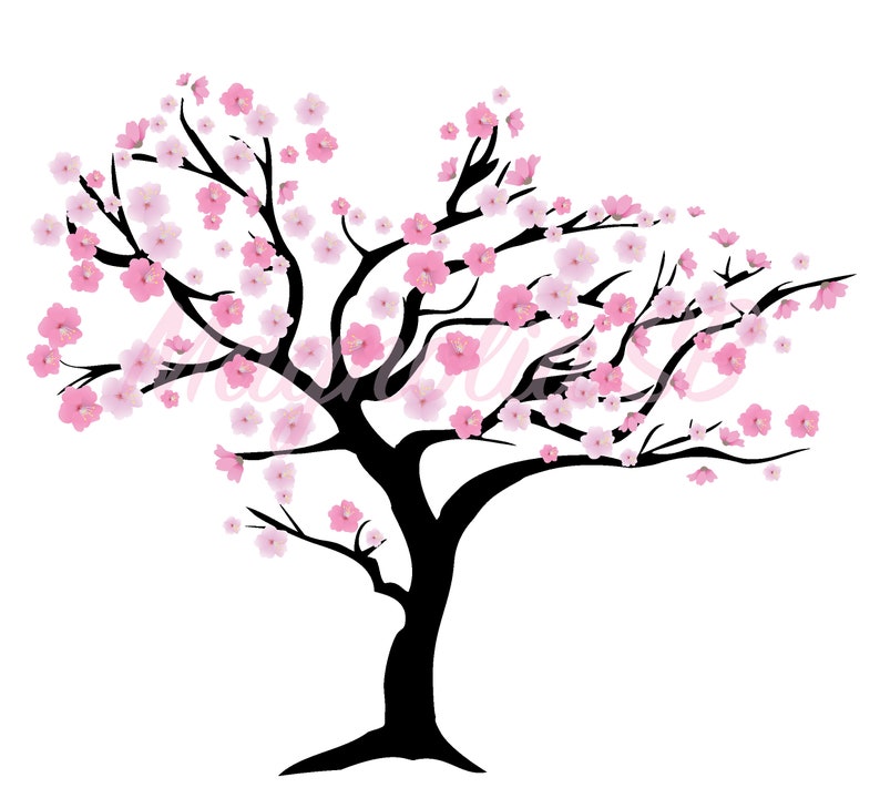 Cherry Blossom Digital Clip Art Cherry Blossom Printable Etsy