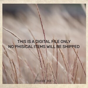 This is a digital download only.