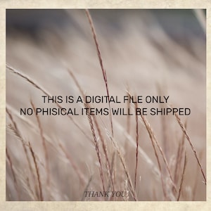 This is a digital file only.