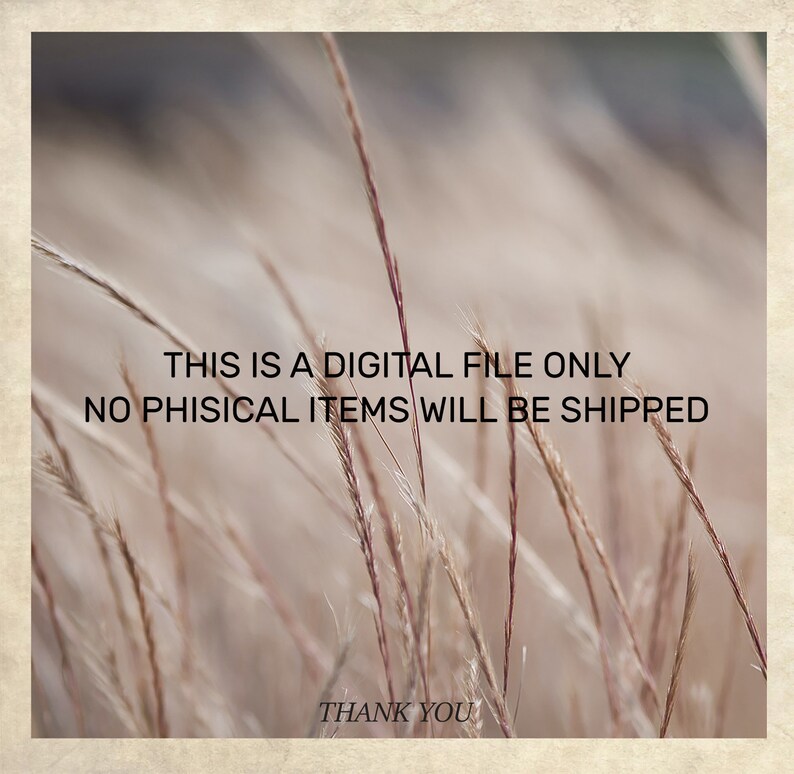This is a digital file only.