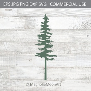 Pino albero in formato SVG, albero in formato SVG, foresta in formato SVG, file di taglio per cricut, PNG, jpg, all'aperto, avventura, design della camicia, silhouette, magnoliasb