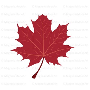 Ahornblatt SVG, Herbst Blatt svg, rotes Blatt svg, Cut File for Cricut, shirt design, Herbst, Herbst, Vektor, PNG, dxf, Ahornblatt Silhouette
