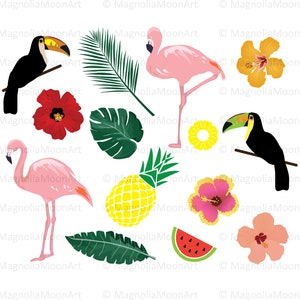 Elementos tropicais, clip art digital, pássaros tropicais, flores, cartão para impressão, folhas tropicais, arte para impressão, vetor, EPS, download instantâneo