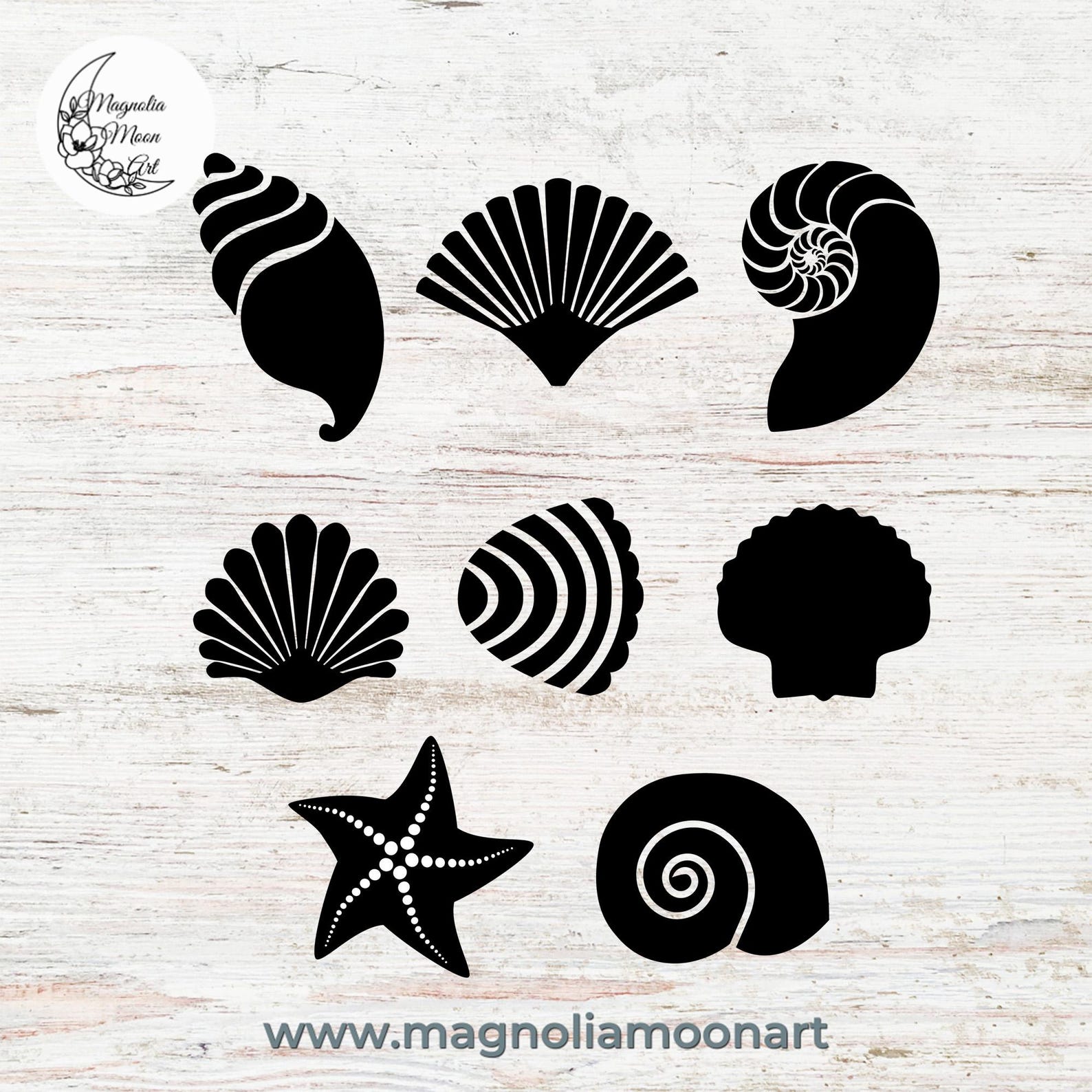 Sea Shells Clipart Bundle, Ocean Vector Graphics (svg, Dxf, Png, Eps ...