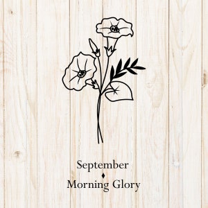 September Birth Flower SVG: Morning Glory Cut File (Digital Download)