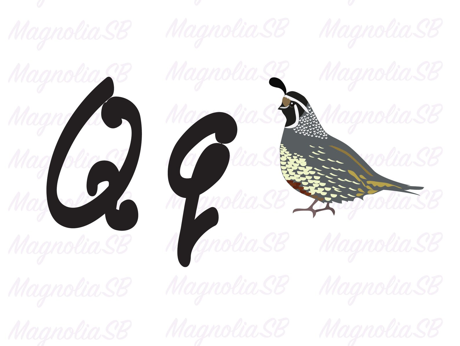 Q is for Quail svg Letter q svg quail svg alphabet letter q | Etsy