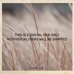 This is a digital file only.