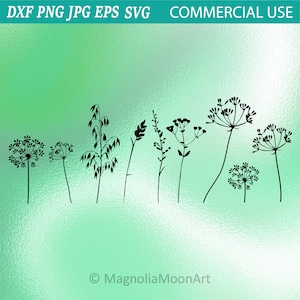 Field Grass svg, grass svg, cut file for cricut, meadow grass svg, spring, grass silhouette, plant svg, field grass png, jpg, shape