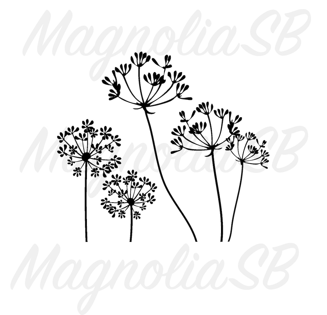 Fennel Flowers SVG Fennel DXF Flower Svg Meadow Field Etsy
