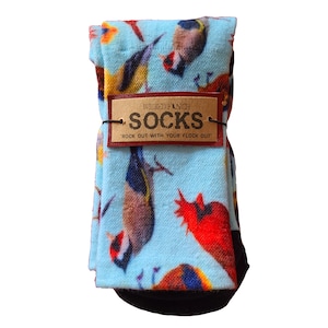 Punk Birds Eco Socks -Sky Blue