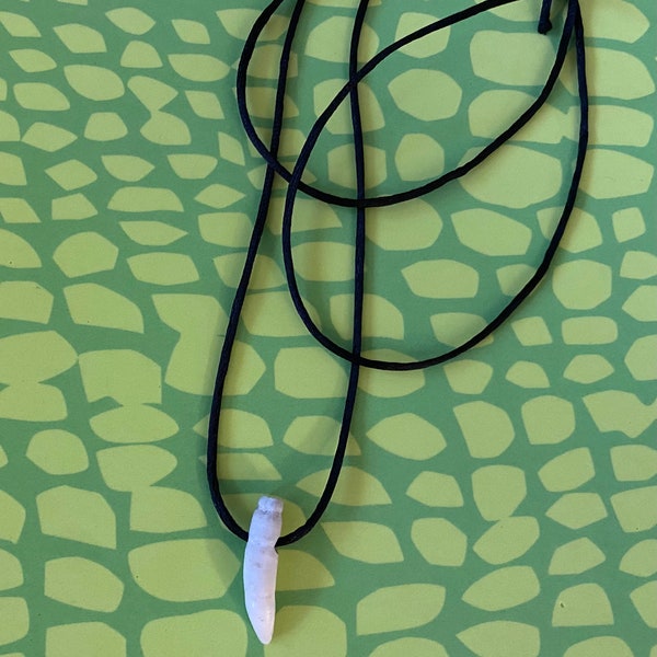 Gator Tooth Necklace