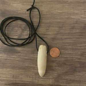 Alligator Tooth Necklace (Large size Tooth)
