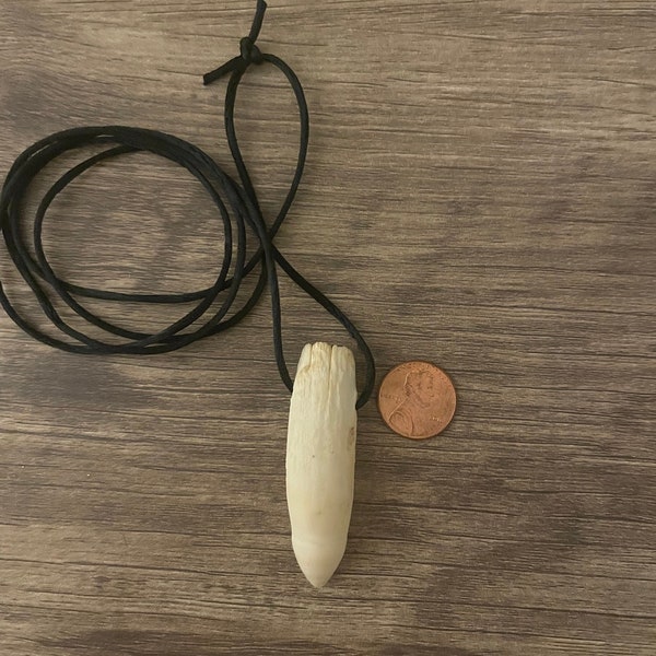 Gator Tooth Necklace (Large Tooth)